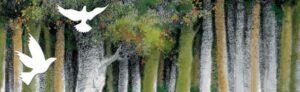 Lire la suite à propos de l’article Conte en bois – Samedi 12 Octobre 2019